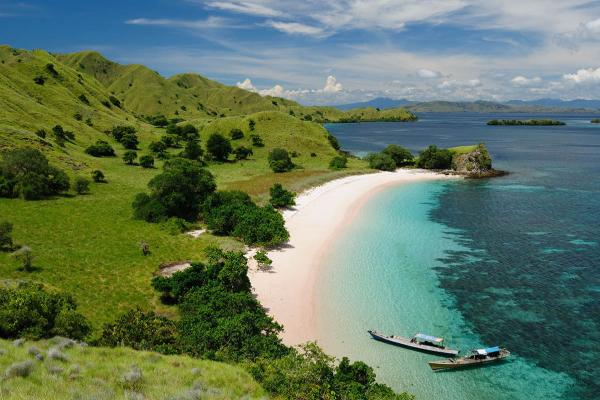 Komodo photo