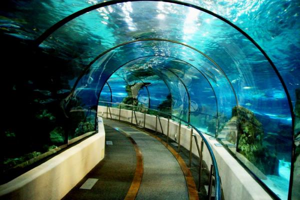 Photo d'aquarium
