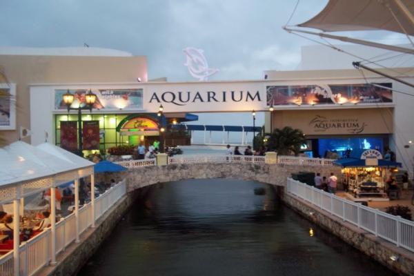 Foto interactiva del acuario de delfines