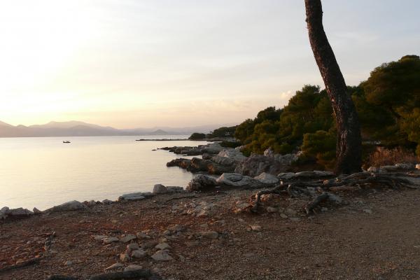 Foto dell'isola di Saint Margaret