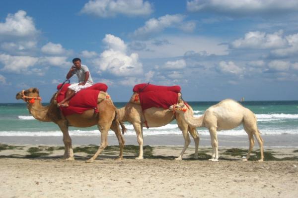 Djerba photo