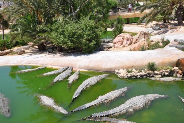 Park Djerba Ontdek foto