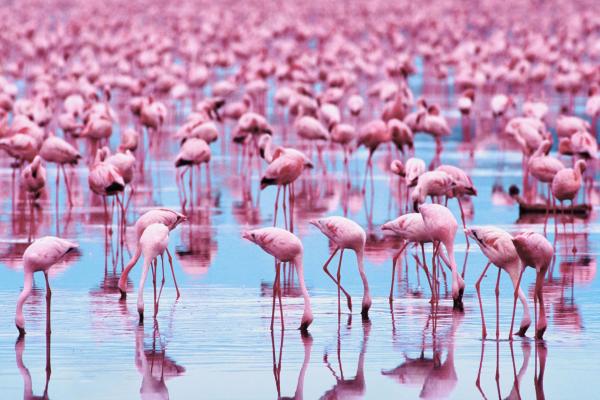 Foto di Lagoon Jerba