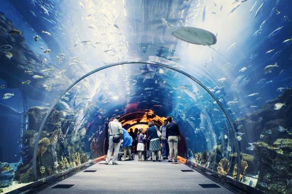 Photo de l'aquarium de Dubaï