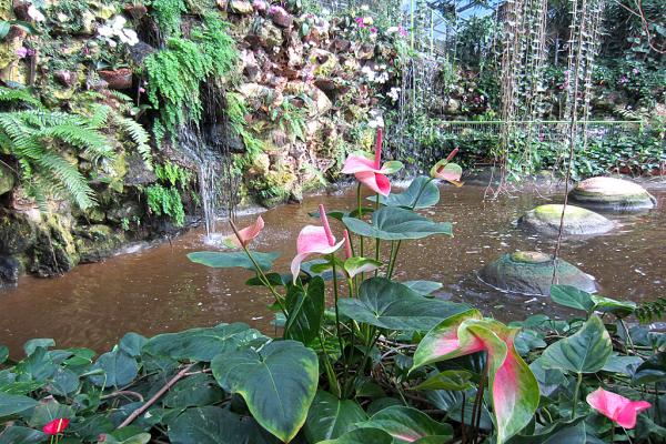 Botanischer Garten Foto