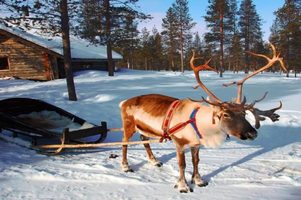 Saariselka foto