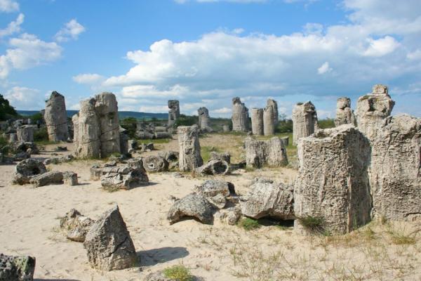 Stone Forest Photo