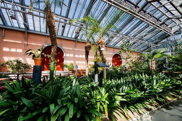 Winter garden photo