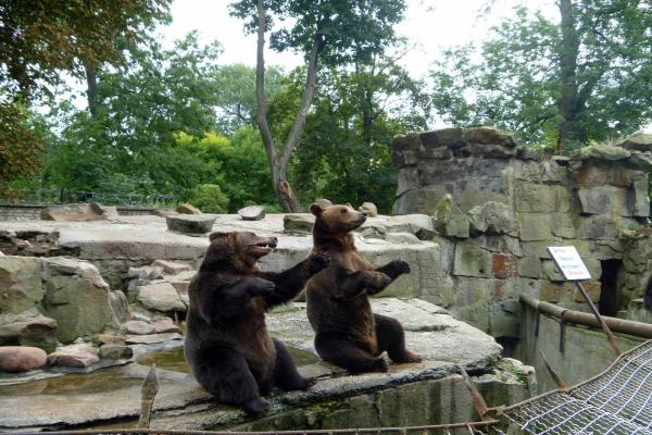 Foto dello zoo di Kaliningrad