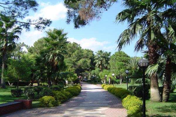 Parc Moonlight photo