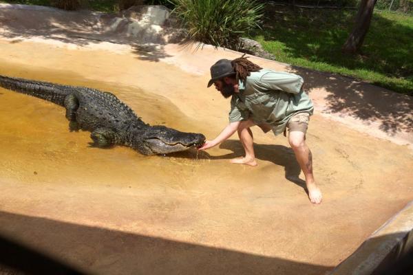 Park with alligators Sawgrass Recreation Park photo