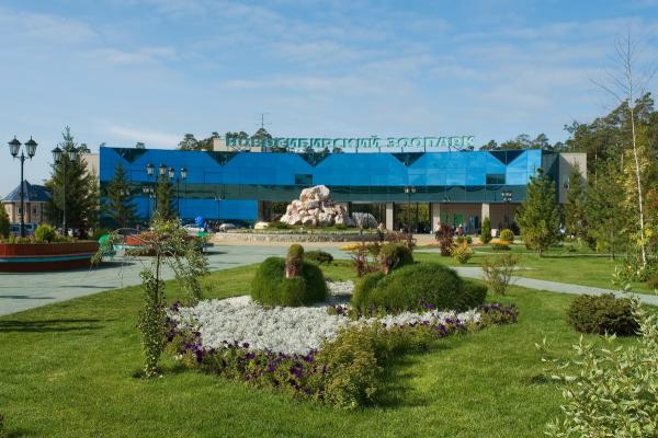Foto dello zoo di Novosibirsk