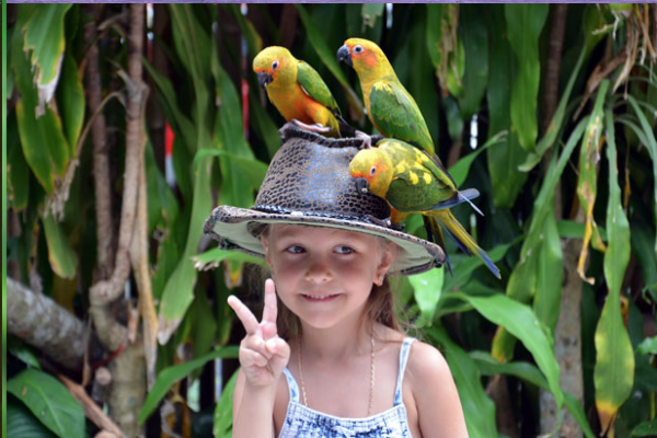 Vogelpark Vogelparadies Foto