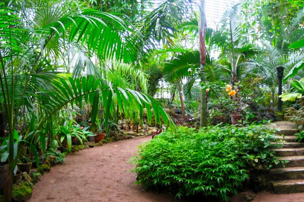 Photo du jardin botanique