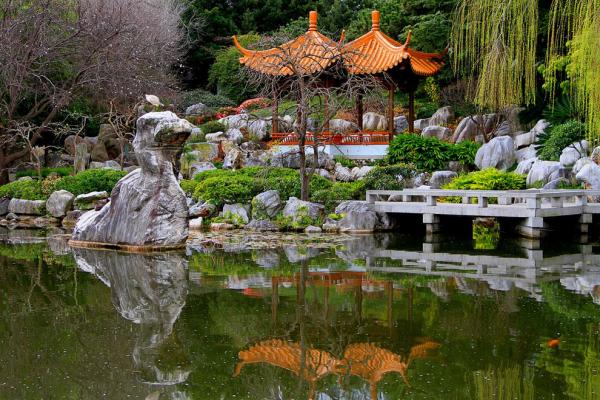 Jardín chino de la amistad photo