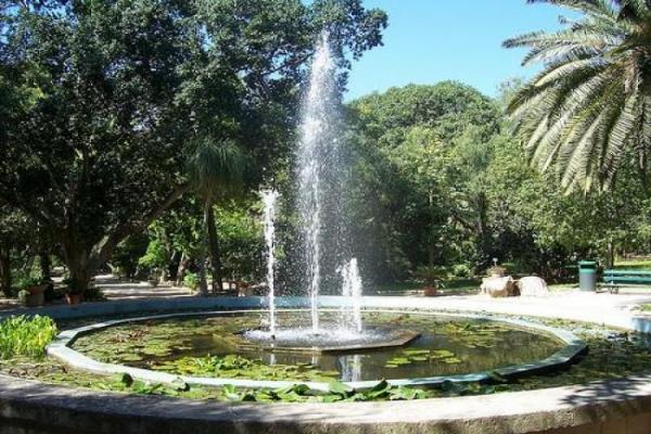 Foto del jardín botánico