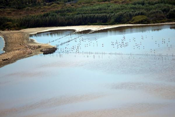 Foto di Molentargus Park