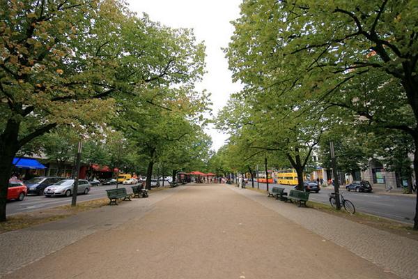 Unter den Linden Boulevard photo