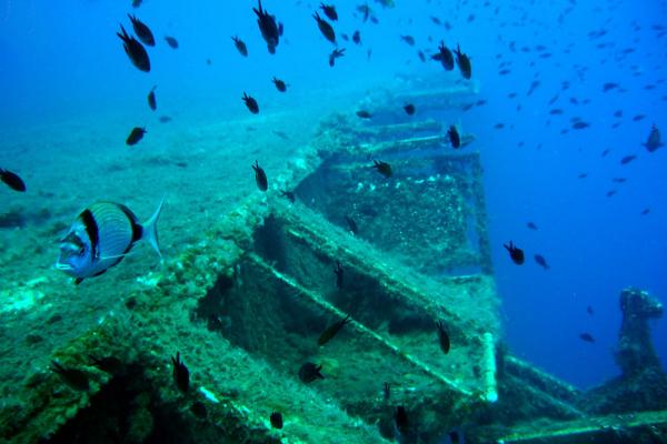 Sunken ferry MS Zenobia photo