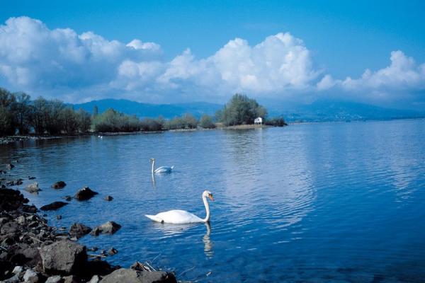 Photo du lac de Constance