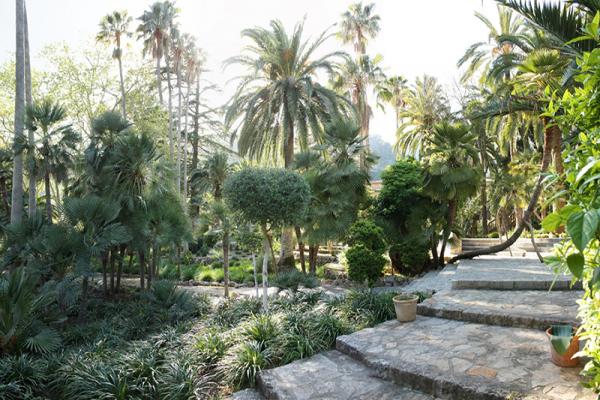 Alfabia Gardens photo