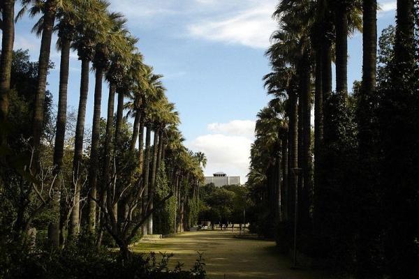 Photo du parc forestier national de Cavo Greco