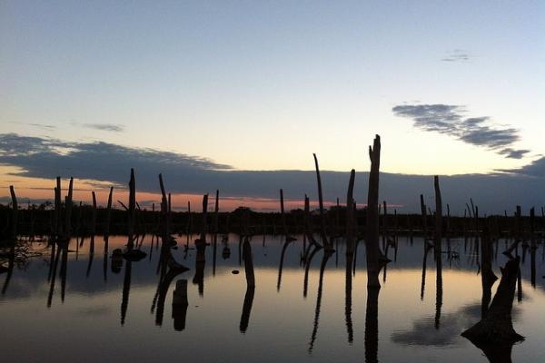 Fotos del pantano de Bávaro