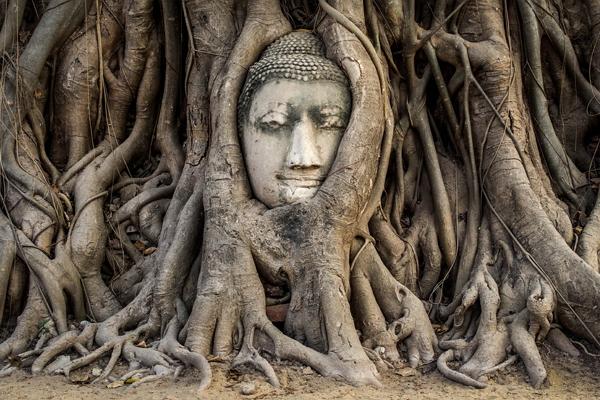 Foto di Ayutthaya