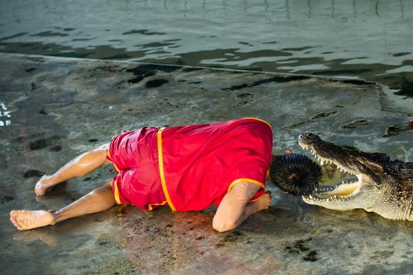 Crocodile farm in Samutprakarn photo