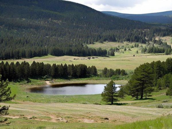 Kiziljahamam Sohuksu National Park photo