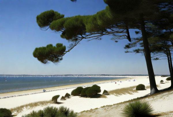 Arcachon photo