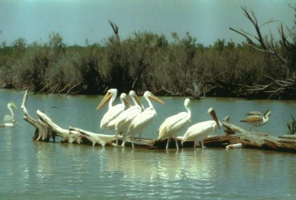 Sian Kaan Biosphere Reserve photo