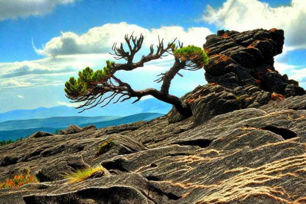 Etna Natural Park photo