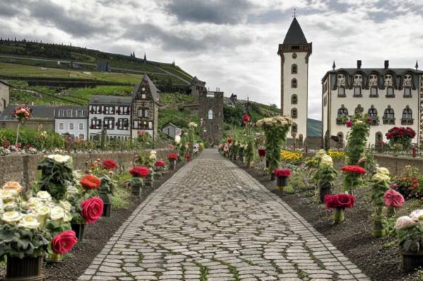 Rudesheim photo