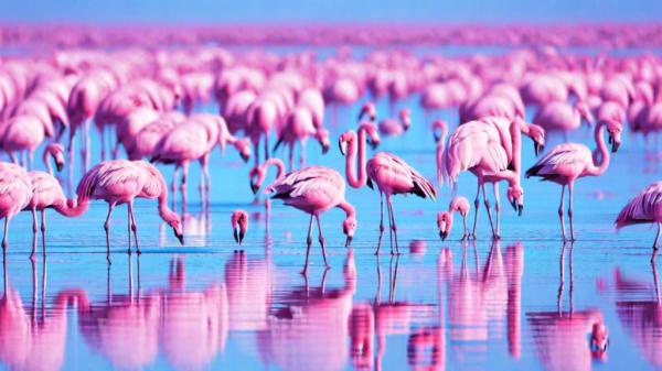 Lagoon Jerba photo