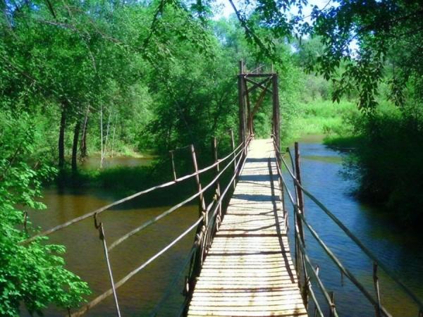 Park “Deer Streams” photo