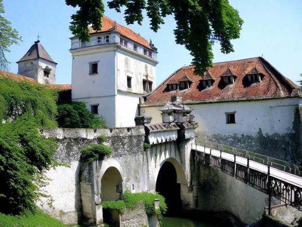 Svirzhsky castle photo