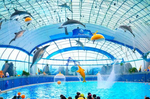 Dolphinarium “Nemo” photo