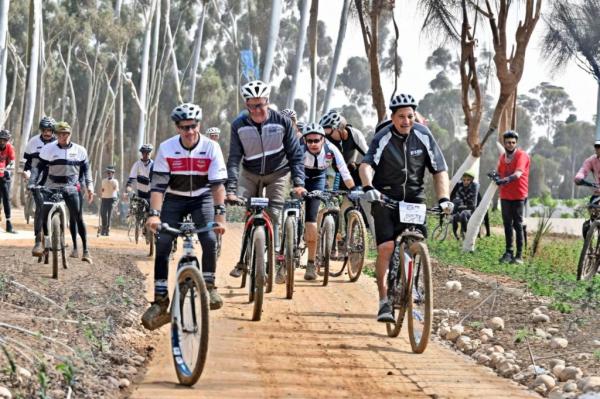 Bicycle park photo