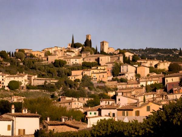 Biot photo