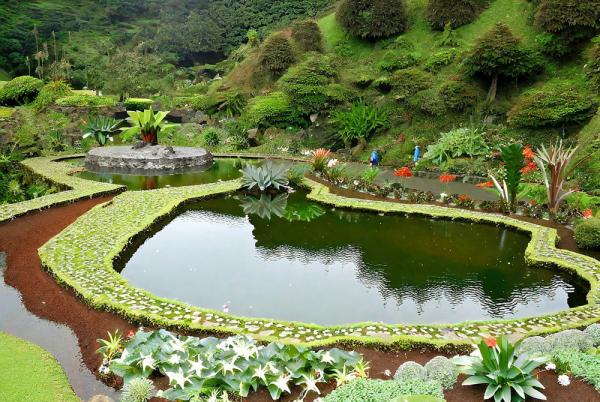 Botanical Garden Photo