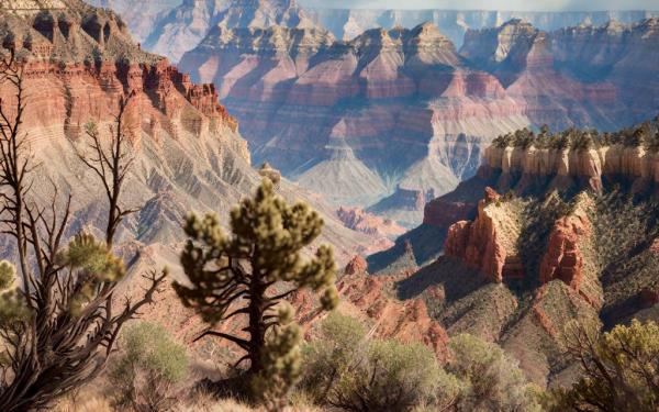 Grand Canyon photo