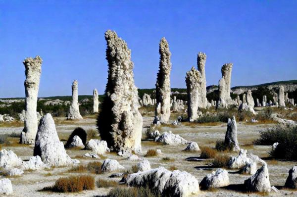 Stone Forest Photo