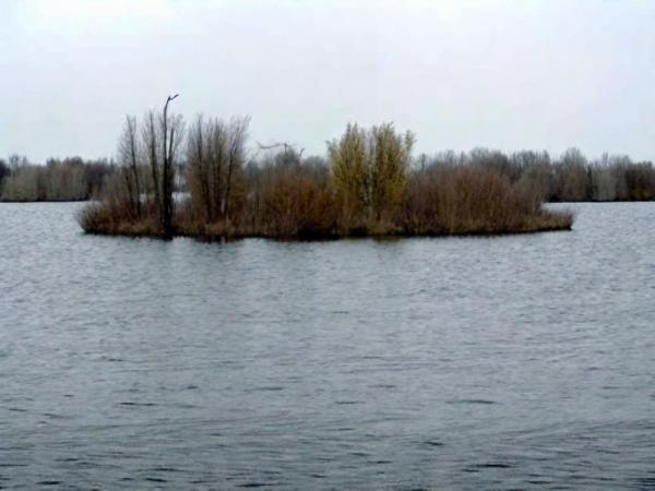 Floating islands photo