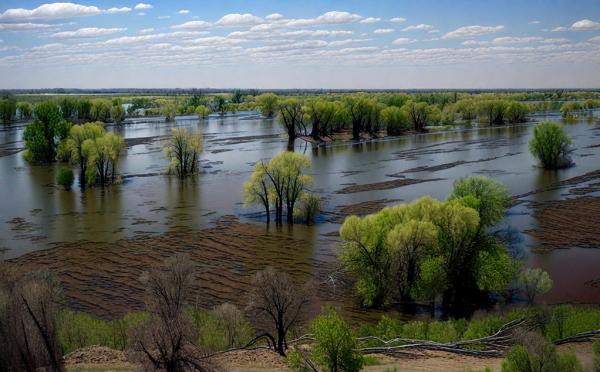 Natural park “Volga-Akhtuba floodplain” photo