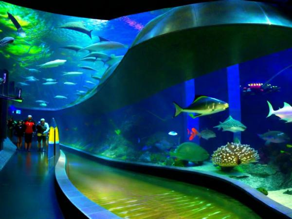 Voronezh Aquarium photo