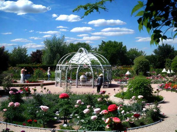 Botanical Garden (Salgirka Park) photo