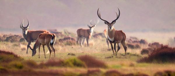 Tu National Park photo