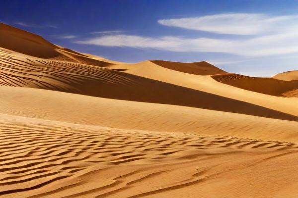 Arabian desert photo