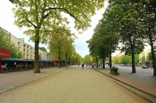 Unter den Linden Boulevard photo